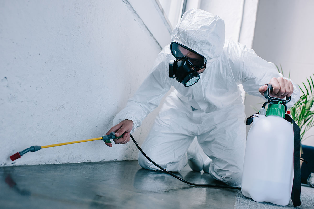 Everything You Need To Know About Pest Control Services!