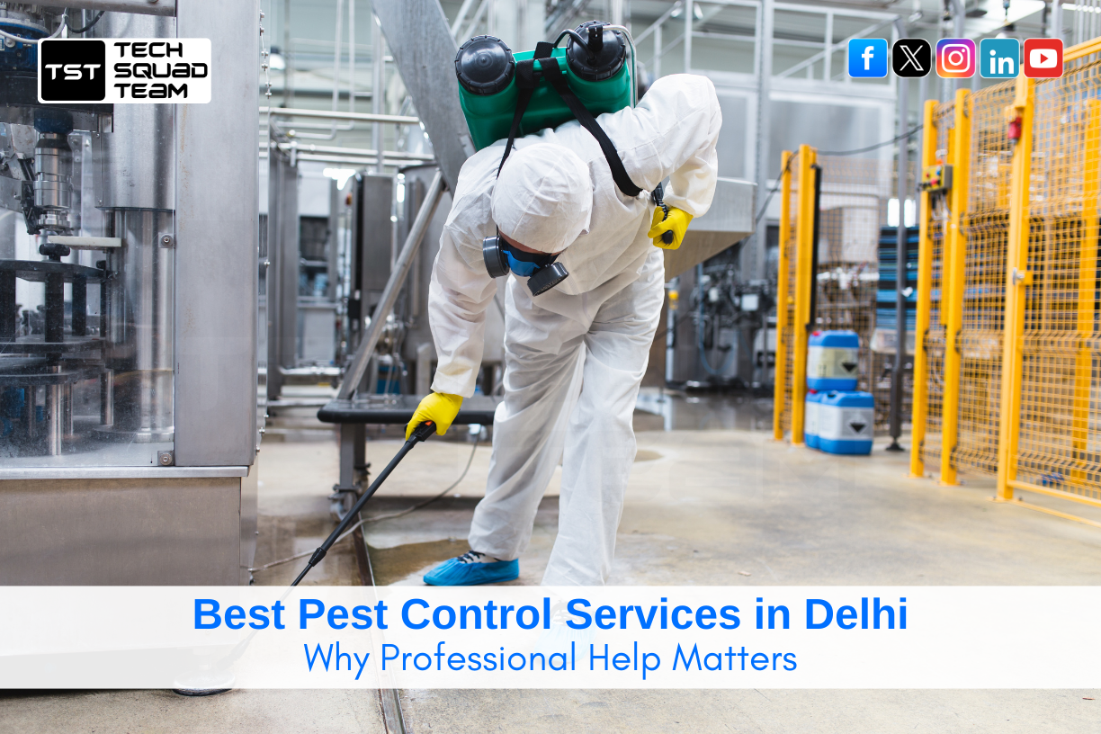Best Pest Control Services in Delhi: Why Professional Help Matters