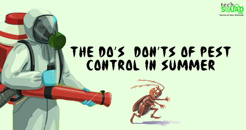 The Do’s & Don’ts of Pest Control in Summer