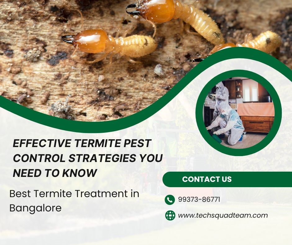 Effective Termite Pest Control Strategies You Need to Know