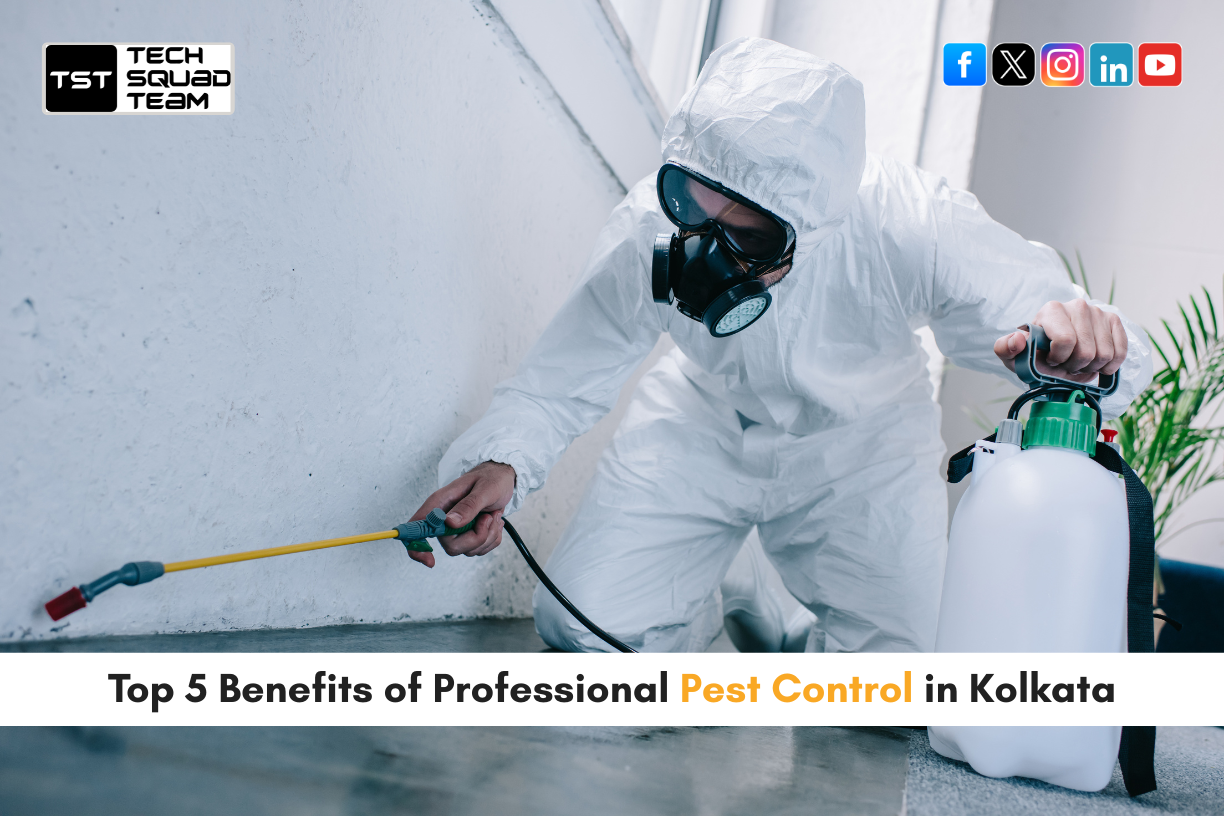 Top 5 Benefits of Hiring Professional Pest Control in Kolkata
