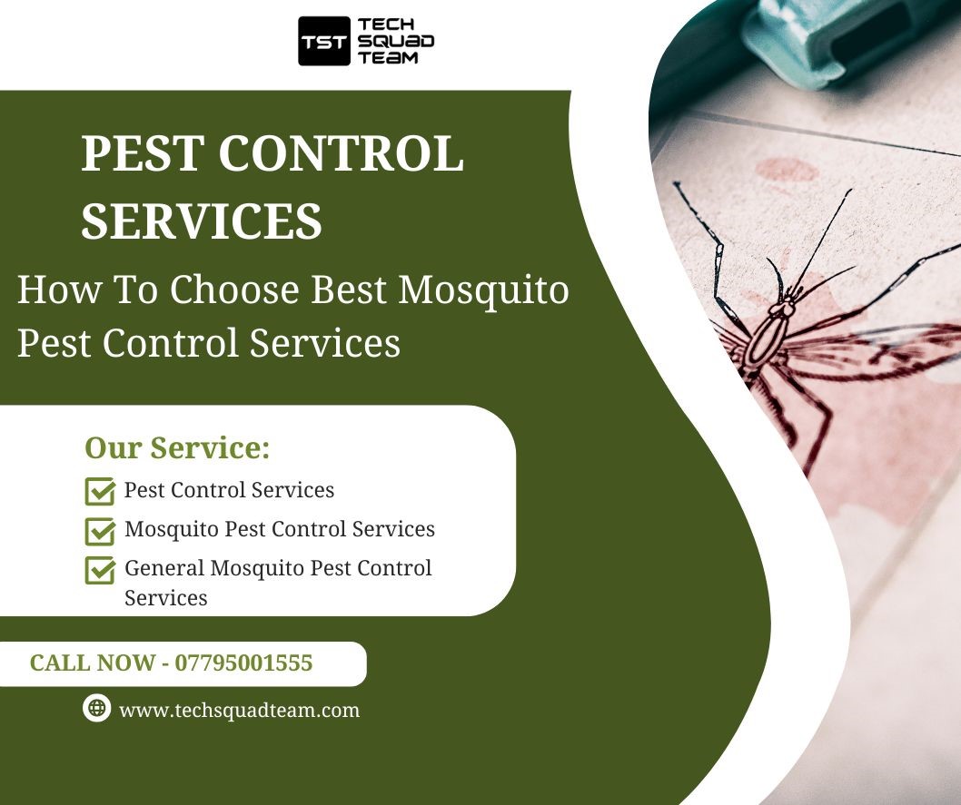 How To Choose Best Mosquito Pest Control Services