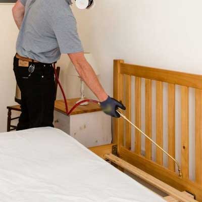 Bed Bug Pest Control Services
